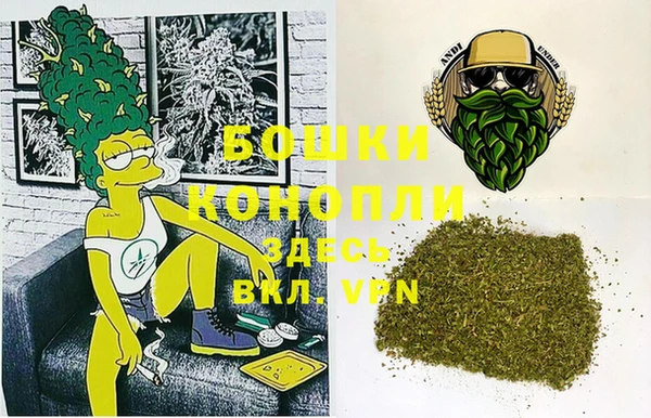 СК Корсаков