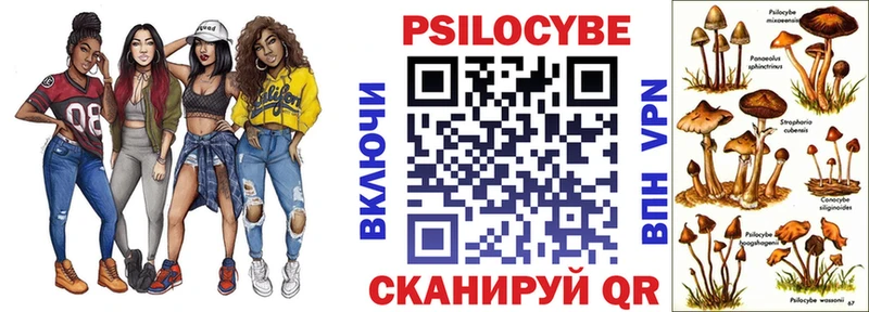 Галлюциногенные грибы Psilocybine cubensis  Купить где  Зеленогорск 